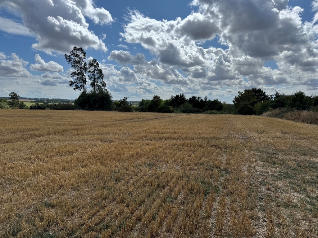 Lot: 61 - APPROXIMATELY FOUR AND A HALF ACRES - View of the land 5